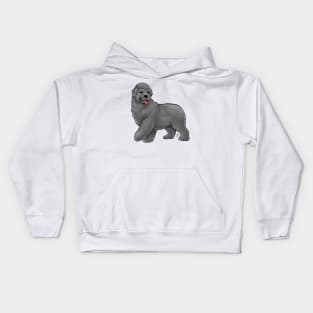 Dog - Newfoundland - Gray Kids Hoodie